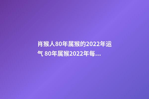 肖猴人80年属猴的2022年运气 80年属猴2022年每月运势,1980年属猴人2022年运程-第1张-观点-玄机派
